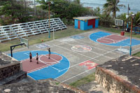 Tropical Basketball